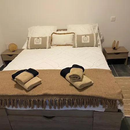 T2 Rez De Apartament